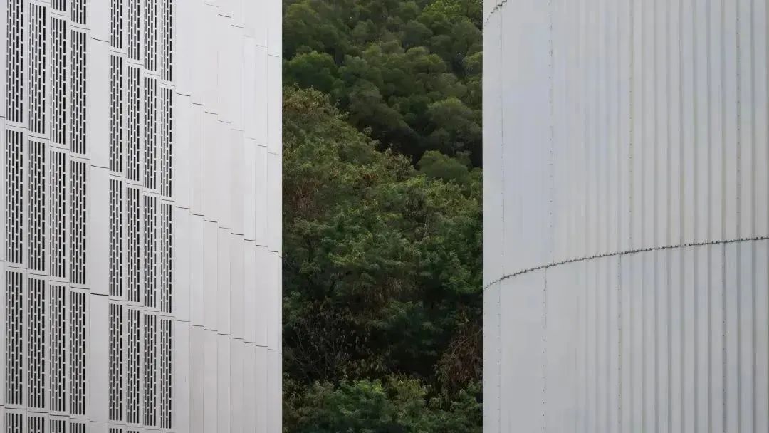 深双介入，激活空间生长力.jpg